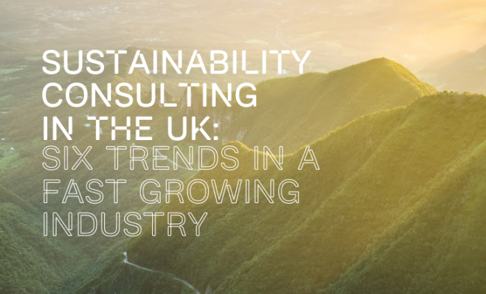 Faded mountain landscape with the paper title written over the top "Sustainability Consulting in the UK: Six Trends in a Fast Growing Industry